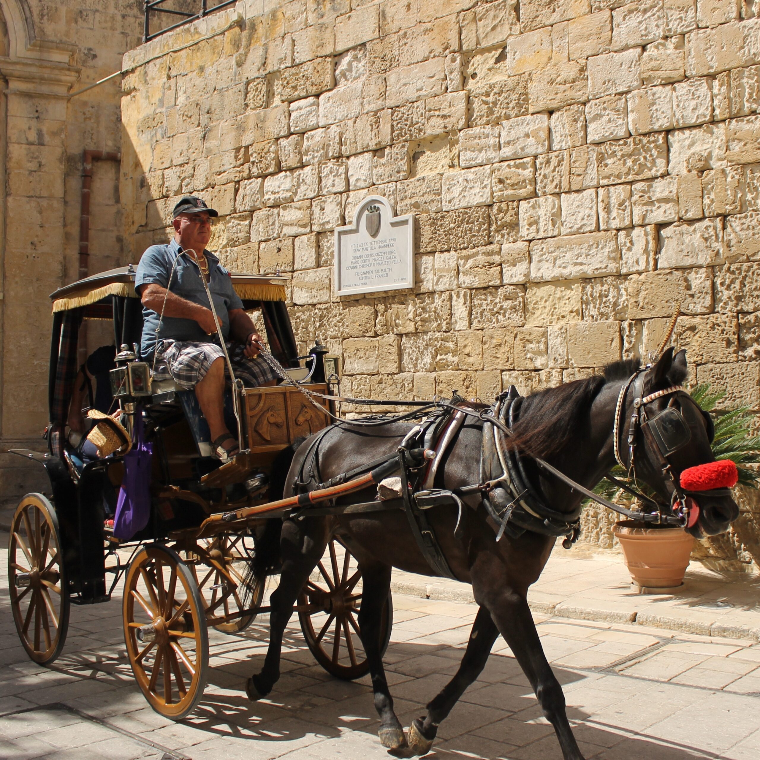 Mdina Horse Carriage